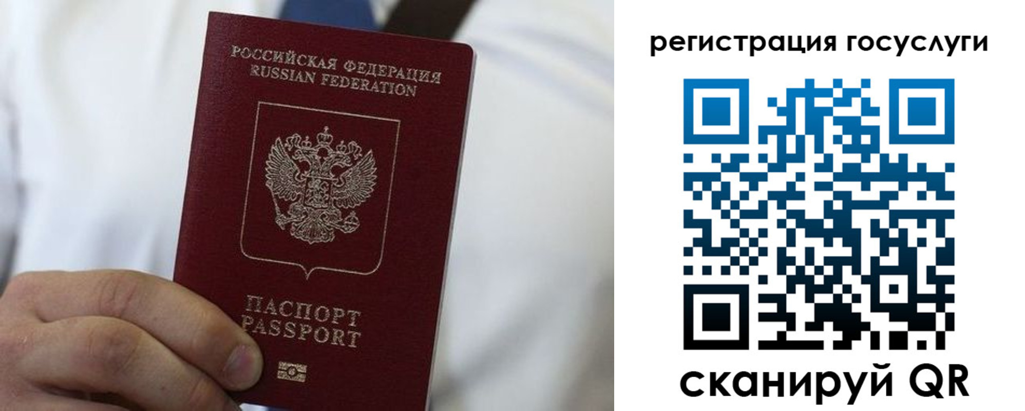 прописка в Воронежской области